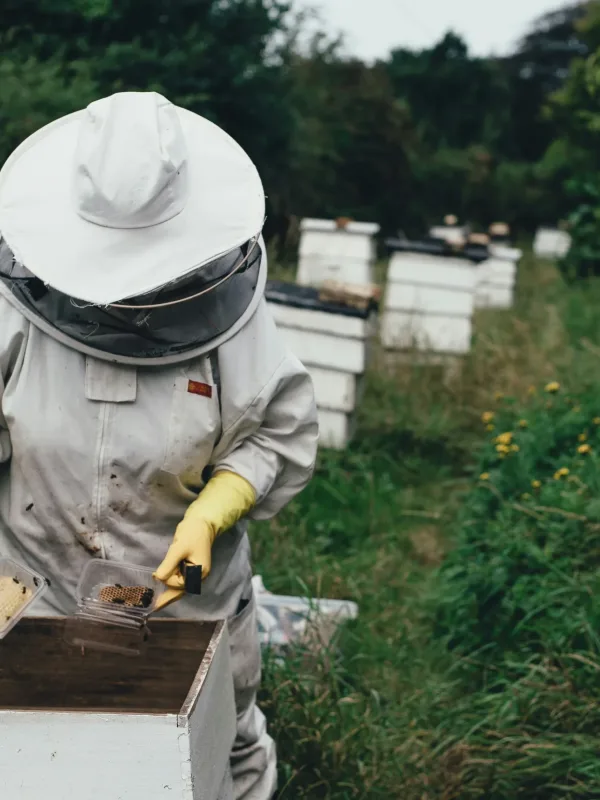 beekeeper